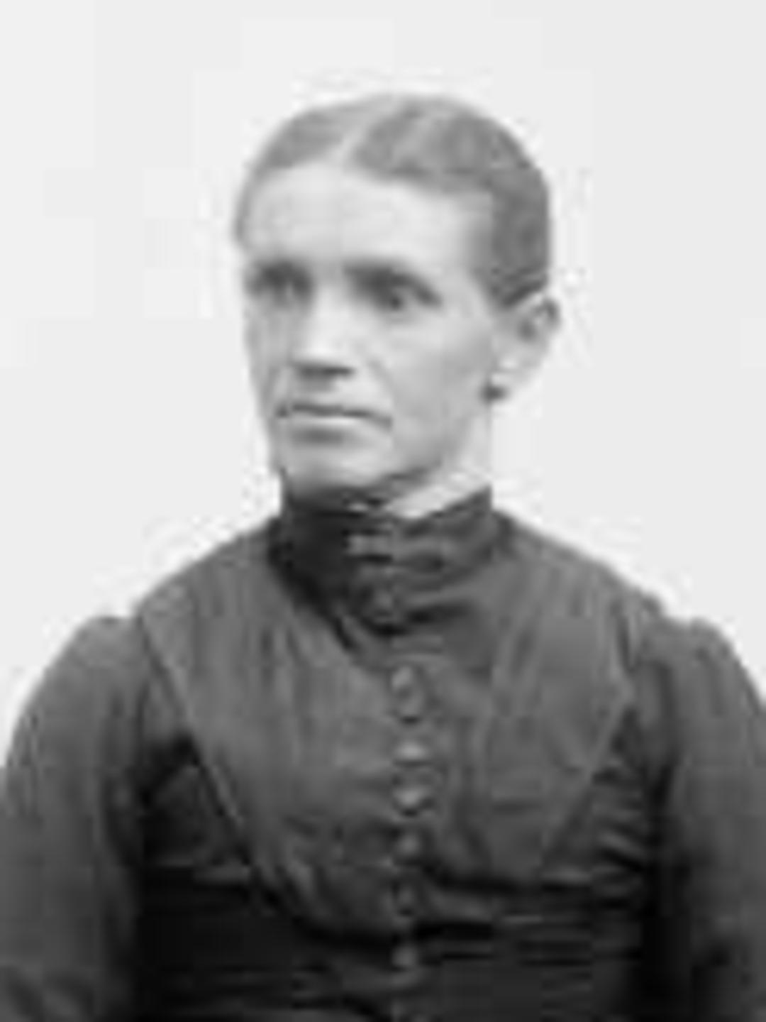 Diantha Christensen (1856 - 1917) Profile